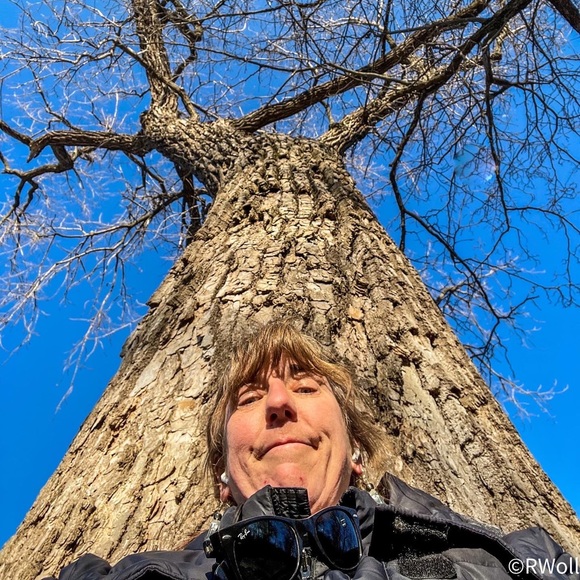 Meet your Posher, Rebecca - Picture 3 of 3